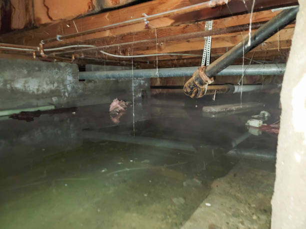 Best 24-hour water damage restoration  in Fairview, TN