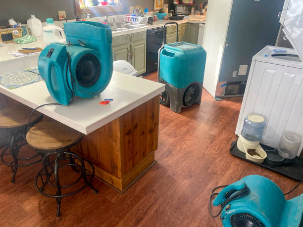 Best Residential water damage restoration  in Fairview, TN