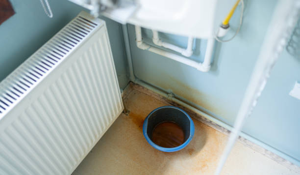 Best Water damage contractors near me  in Fairview, TN