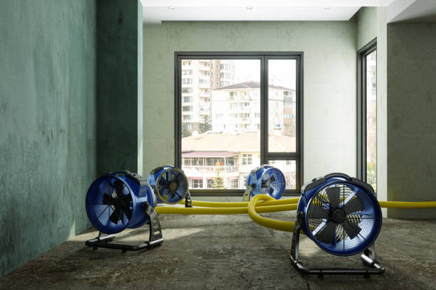 Best 24/7 water damage repair  in Fairview, TN