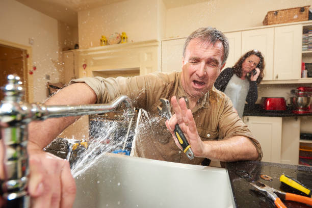 Best Sewage cleanup and water damage restoration  in Fairview, TN
